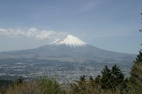 乙女峠辺りから富士山