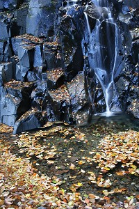 滝と落ち葉